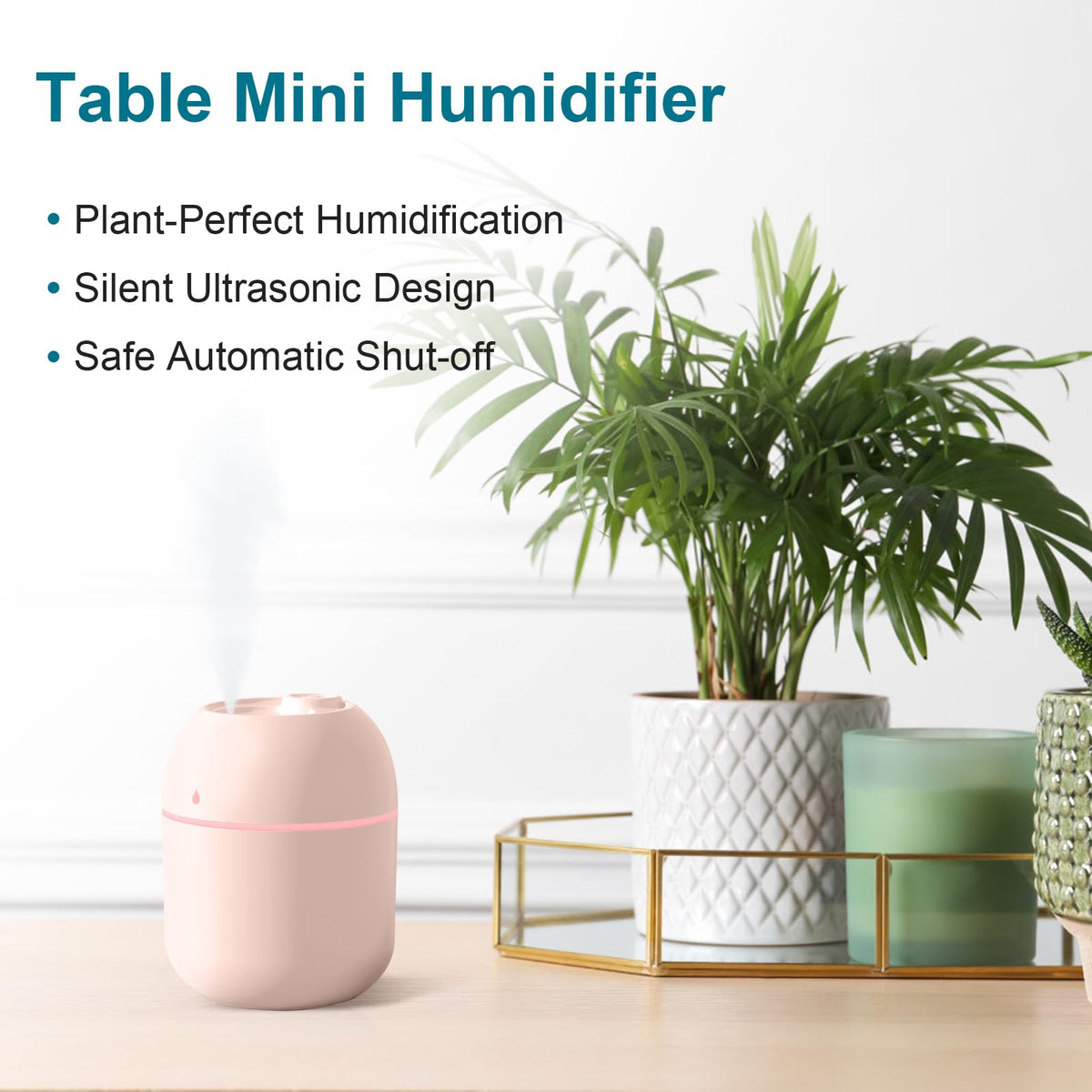 Portable Mini Humidifier Device