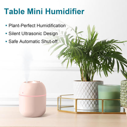 Portable Mini Humidifier Device