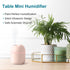 Portable Mini Humidifier Device