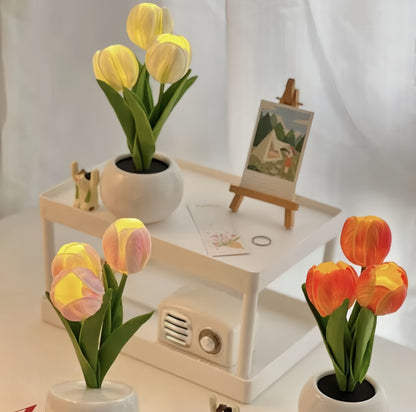 LED Flower Vase Lamp with Rose